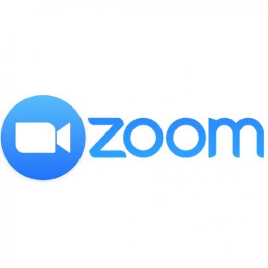 webinář ZOOM (pouze pro organizátory DOD 2021)