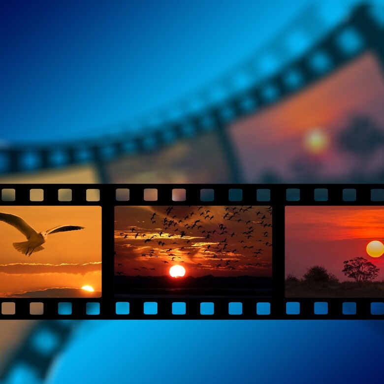 Filmová a audiovizuální výchova